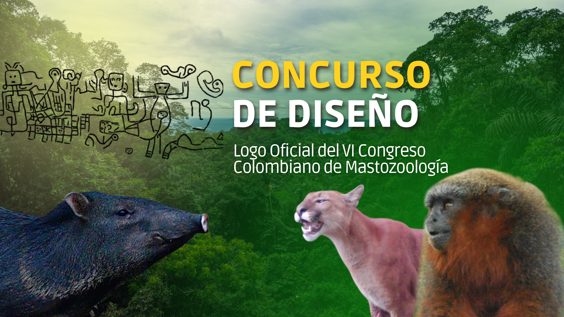 Concurso de Diseño
