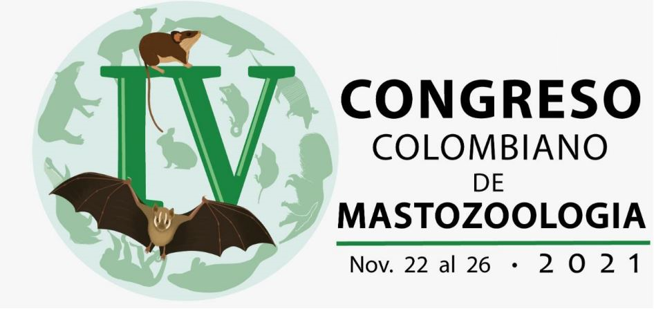 IV Congreso